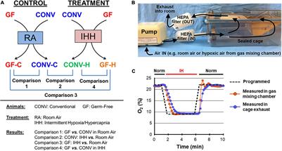 Microbiota Modulates Cardiac Transcriptional Responses to Intermittent Hypoxia and Hypercapnia